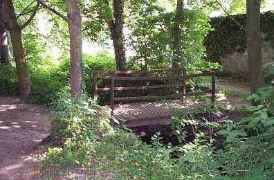 The Moat or Rim of Elms