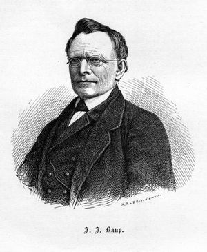 Johann Jakob Kaub